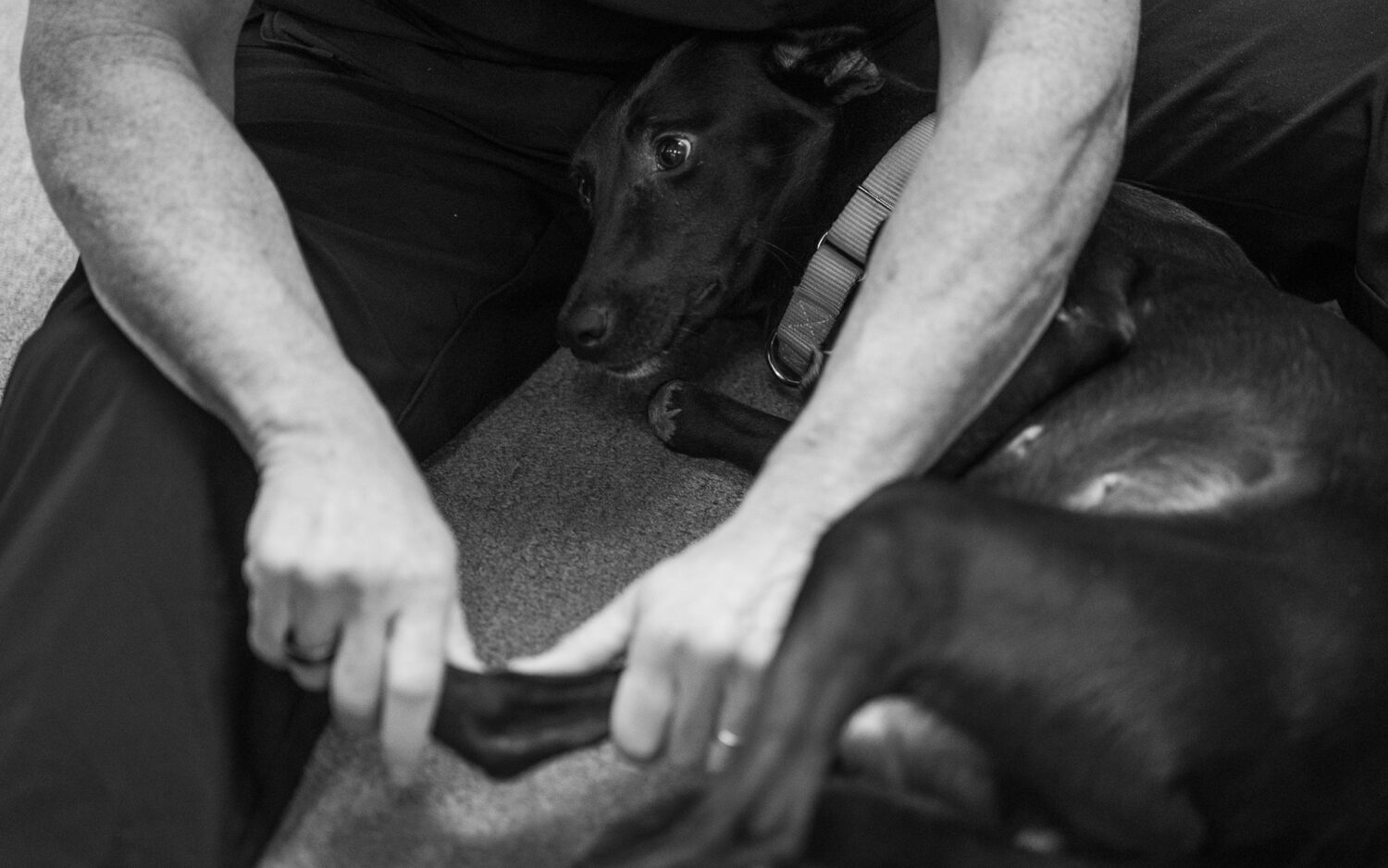 Someone massages Zoe's leg.