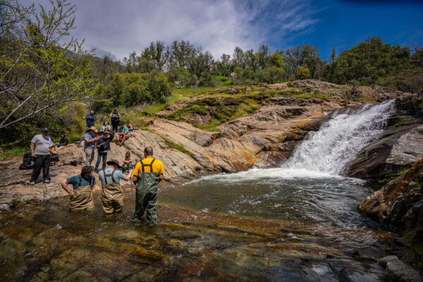 Class enters creek in waders.